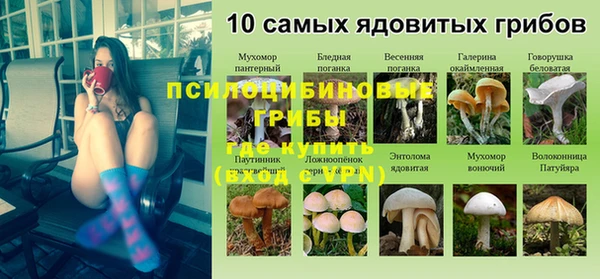 ALPHA-PVP Алексин