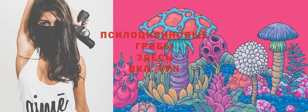 ПСИЛОЦИБИНОВЫЕ ГРИБЫ Алексеевка
